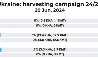Початкова врожайність ячменю в Україні наразі краща, ніж рік тому