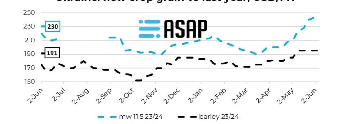 Стартові ціни нового врожаю української пшениці та ячменю +8+5% р/р – ASAP Agri