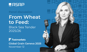 Від пшениці до фуражу: Причорноморський тендер 2025/26
