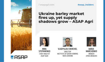 Ринок ячменю в Україні розігрітий, але зростання пропозиції кидає тінь – ASAP Agri