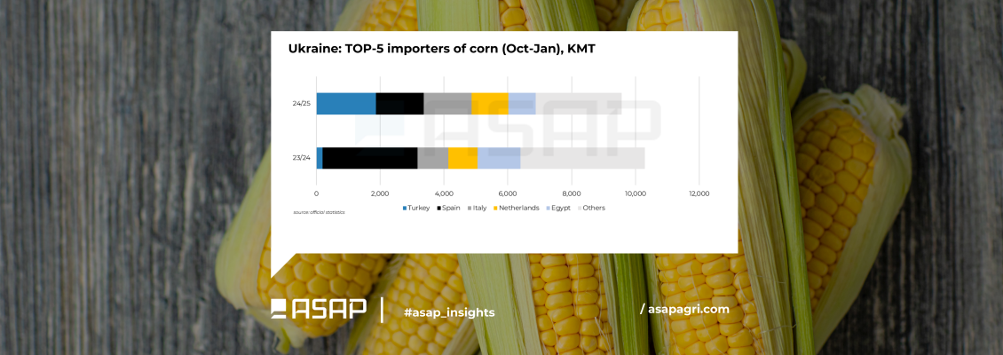 Туреччина стала найбільшим імпортером української кукурудзи, випередивши Іспанію - ASAP Agri