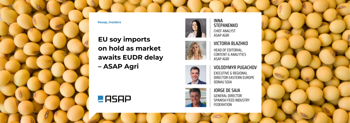 Імпортний соєвий ринок ЄС на паузі в очікуванні відстрочення EUDR з боку Брюсселя — ASAP Agri
