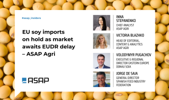 Імпортний соєвий ринок ЄС на паузі в очікуванні відстрочення EUDR з боку Брюсселя — ASAP Agri