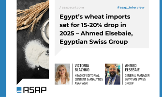 Імпорт пшениці Єгиптом у 2025 році скоротиться на 15–20% – Ахмед Елсебаї, Egyptian Swiss Group
