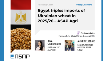 Єгипет утричі збільшив імпорт української пшениці у 2025/26 МР – ASAP Agri