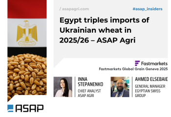 Єгипет утричі збільшив імпорт української пшениці у 2025/26 МР – ASAP Agri
