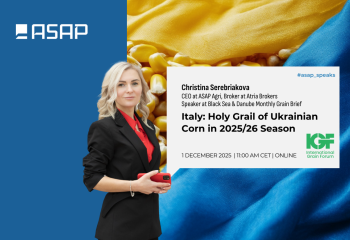 Італія виходить у лідери серед покупців української кукурудзи в ЄС, Іспанія втрачає темп — ASAP Agri