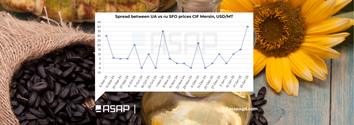 Ціни на українську соняшникову олію стрімко зростають, розрив із російською олією збільшується – ASAP Agri