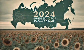 російський врожай соняшника 2024: 15,5 чи 17,2 млн тонн? - ASAP Agri запитує експертів