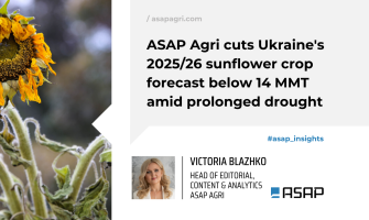 ASAP Agri знизили прогноз урожаю соняшнику в Україні на 2025/26 МР до рівня нижче 14 млн тонн через тривалу посуху в ключових регіонах вирощування