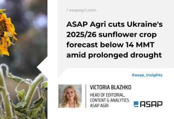 ASAP Agri знизили прогноз урожаю соняшнику в Україні на 2025/26 МР до рівня нижче 14 млн тонн через тривалу посуху в ключових регіонах вирощування