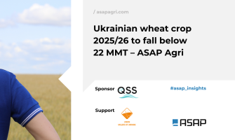 Врожай пшениці в Україні у 2025/26 МР складе менше 22 млн тонн — ASAP Agri