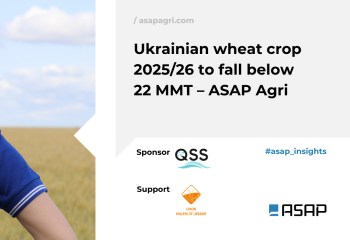 Врожай пшениці в Україні у 2025/26 МР складе менше 22 млн тонн — ASAP Agri
