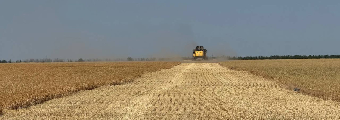 В Україні стартує збиральна кампанія ячменю — ASAP Agri В Україні стартує збиральна кампанія ячменю — ASAP Agri