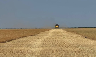 В Україні стартує збиральна кампанія ячменю — ASAP Agri