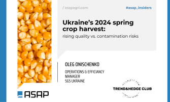 Весняний урожай 2024 року в Україні: покращення якості проти ризиків забруднення — ASAP Agri