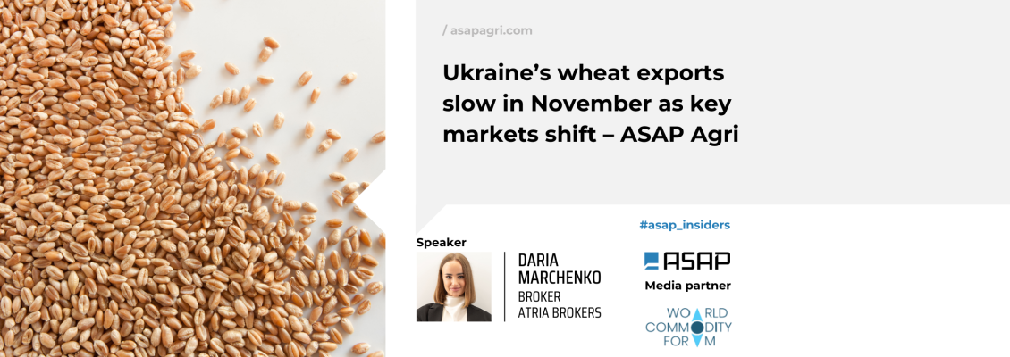 Експорт української пшениці сповільнюється в листопаді на тлі зміни ключових ринків – ASAP Agri
