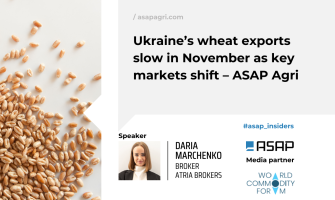 Експорт української пшениці сповільнюється в листопаді на тлі зміни ключових ринків – ASAP Agri
