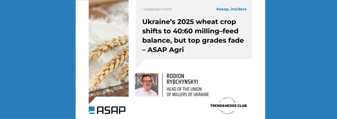 Українська пшениця-2025: 40:60 на користь фуражу, але менше високопротеїнового зерна — ASAP Agri Українська пшениця-2025: 40:60 на користь фуражу, але менше високопротеїнового зерна — ASAP Agri