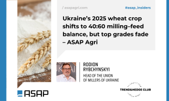 Українська пшениця-2025: 40:60 на користь фуражу, але менше високопротеїнового зерна — ASAP Agri Українська пшениця-2025: 40:60 на користь фуражу, але менше високопротеїнового зерна — ASAP Agri