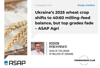 Українська пшениця-2025: 40:60 на користь фуражу, але менше високопротеїнового зерна — ASAP Agri