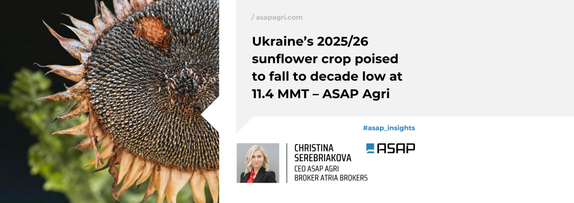 Урожай соняшнику в Україні 2025/26 може знизитися до мінімуму за десятиліття — 11,4 млн т — ASAP Agri