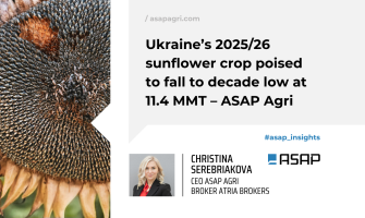 Урожай соняшнику в Україні 2025/26 може знизитися до мінімуму за десятиліття — 11,4 млн т — ASAP Agri