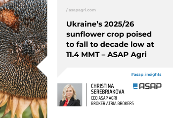 Урожай соняшнику в Україні 2025/26 може знизитися до мінімуму за десятиліття — 11,4 млн т — ASAP Agri