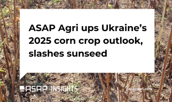 ASAP Agri підвищив прогноз врожаю кукурудзи, але знизив для соняшнику