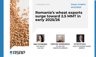 Експорт пшениці з Румунії досягне до 2,5 млн т на початку 2025/26 МР – ASAP Agri