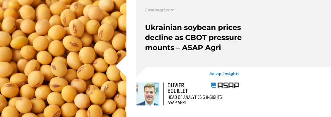 Українські ціни на сою знижуються під тиском CBOT – ASAP Agri