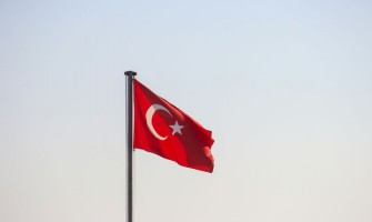 Turkey bans wheat import till mid-October - ASAP Agri