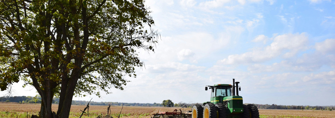 Україна: посівна озимого ріпаку майже зупинилася на рівні 94% – ASAP Agri