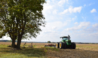 Україна: посівна озимого ріпаку майже зупинилася на рівні 94% – ASAP Agri