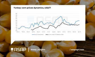 Туреччина може відкласти введення нової квоти на імпорт кукурудзи через значні запаси фуражної пшениці у TMO - ASAP Agri