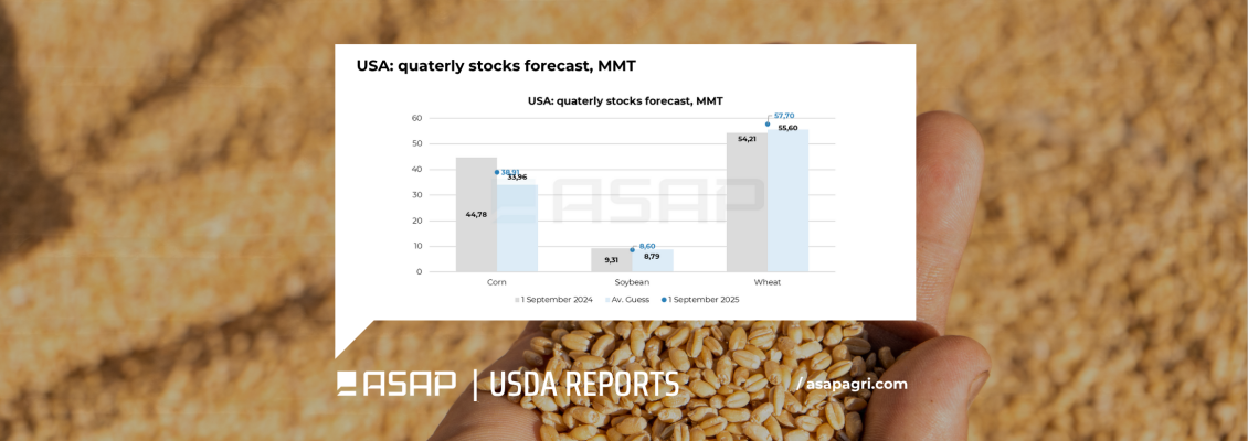 Вересневий звіт USDA щодо запасів тисне на пшеницю та кукурудзу, тоді як соя не отримала підтримки – ASAP Agri
