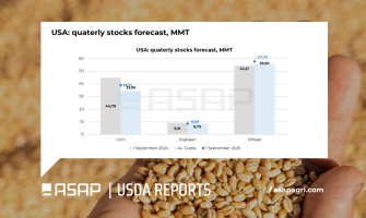 Вересневий звіт USDA щодо запасів тисне на пшеницю та кукурудзу, тоді як соя не отримала підтримки – ASAP Agri